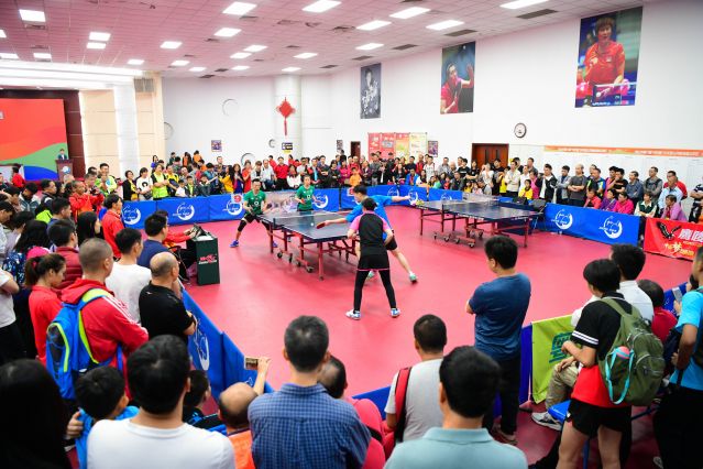 体育数据分 体育数据分